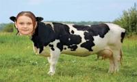 TÝNA